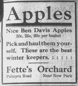 Apple varieties from the past get new life through grafting