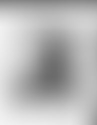 Cecelia Schoknecht an expert
stenographer and typewriter