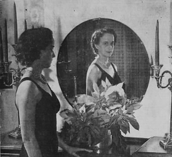 Mrs. P.J. Schneider.png