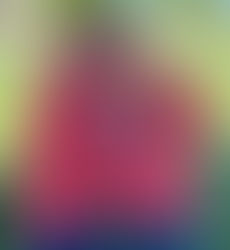 2022 Buddy Walk brings families, friends together for a cause