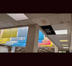 Late library director leaves funds for roof replacement