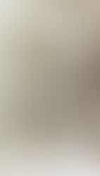 1877’s ‘Great Upheaval’ impacts Hannibal’s rails