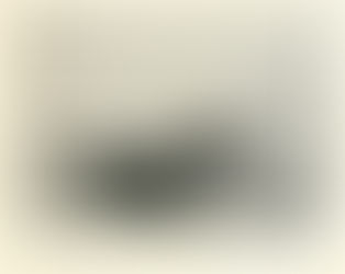 Speed boat driver operated boat livery service at foot of Hannibal's Bird Street