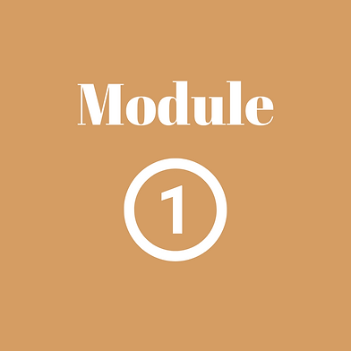 Module (4).png