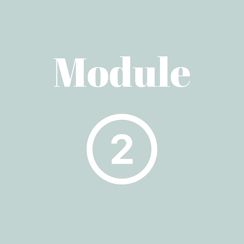 Module (5).png