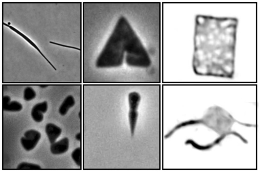Shape-Panel_Substack (1-567-4).gif