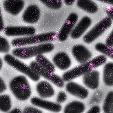 Substack (1-1500-5).gif