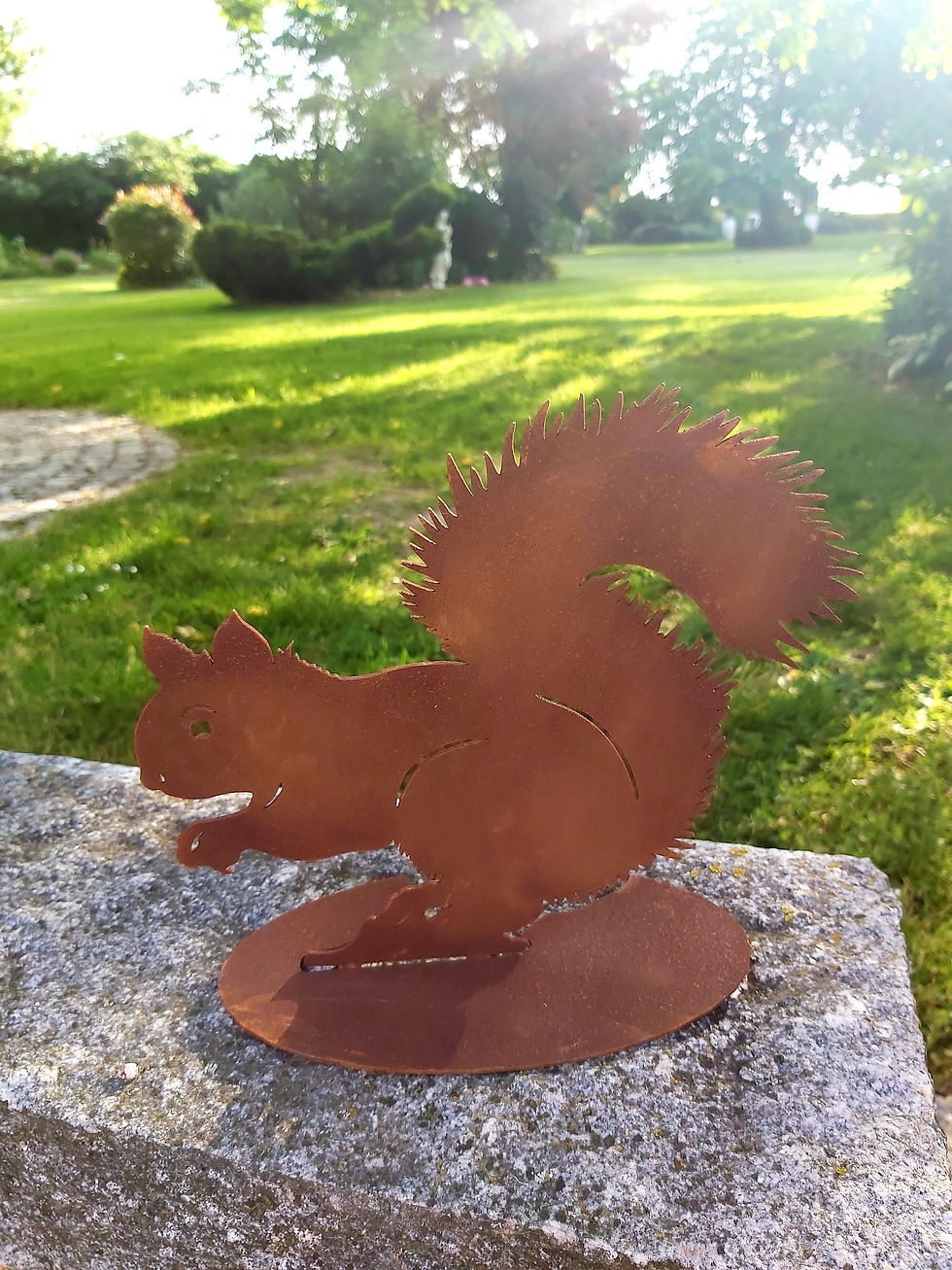 Miniaturbild: Eichhörnchen knabbert (Aufsteller)