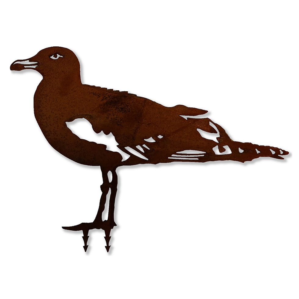 Miniaturbild: Möwe (Vogel)