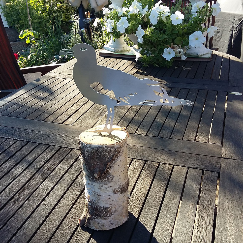 Miniaturbild: Möwe (Vogel)
