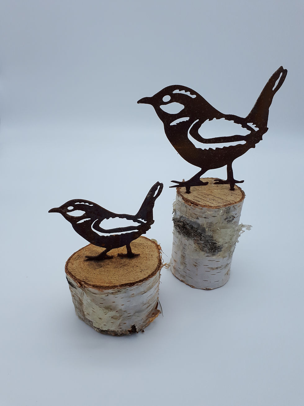 Miniaturbild: Zaunkönig (Vogel)