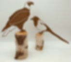 Miniaturbild: Adler (Vogel)