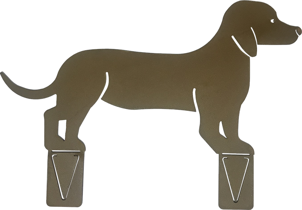Miniaturbild: verschiedene Hunde, Dackel, Foxterrier, Schnauzer, Mops, Cocker Spaniel, Basset