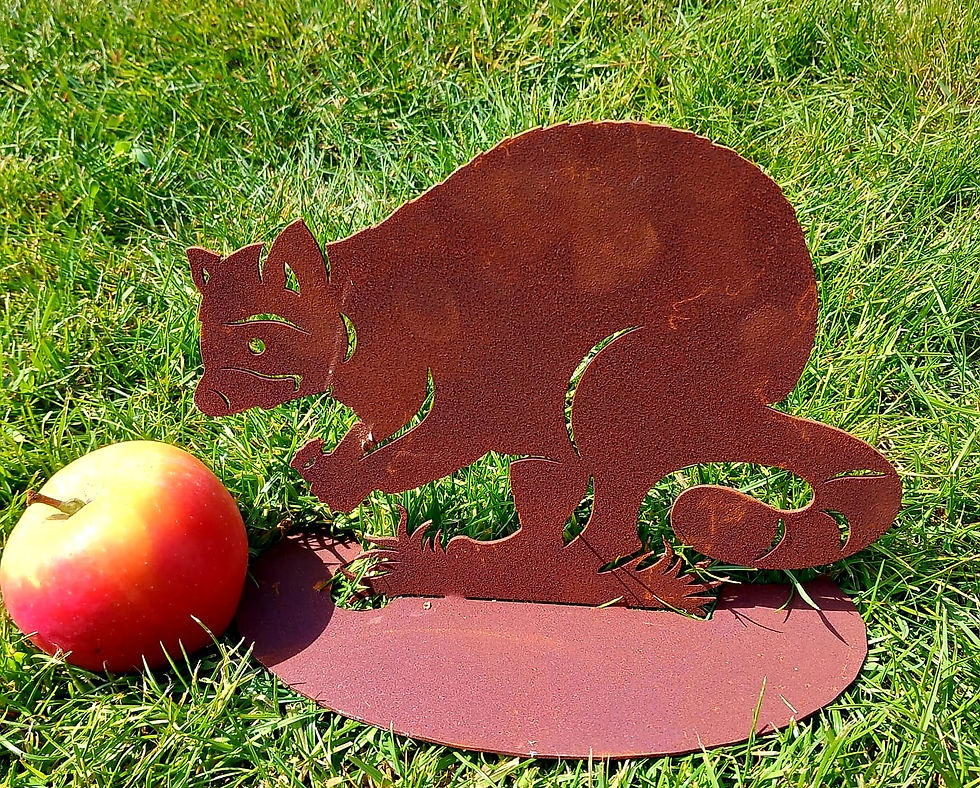 Miniaturbild: Waschbär (Aufsteller)