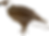 Miniaturbild: Adler (Vogel)