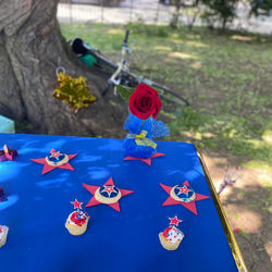 Wonder Woman Birthday Party