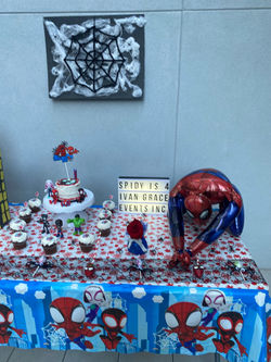 Spidy and his amazing Friends Birthday Party
