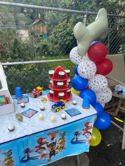 Paw Patrol Birthday Party