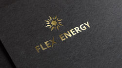 Logo Design - Flex Energy (Private project)