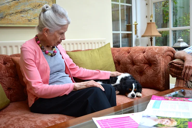 Elderly lady sat on the sofa stroking her dog as companion care