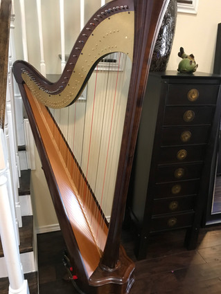 Salvi Daphne 40 Pedal Harp For Rent