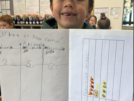 Grade 1 Numeracy
