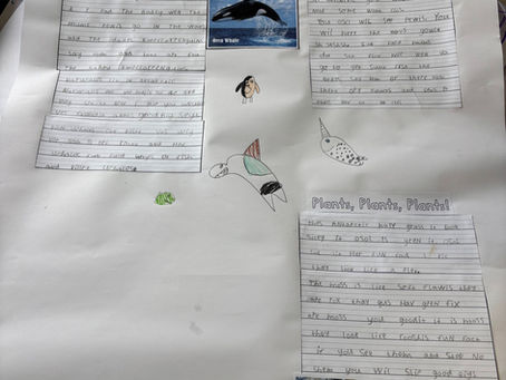 Habitats Informative Writing