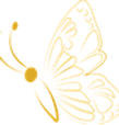 mariposa3.png