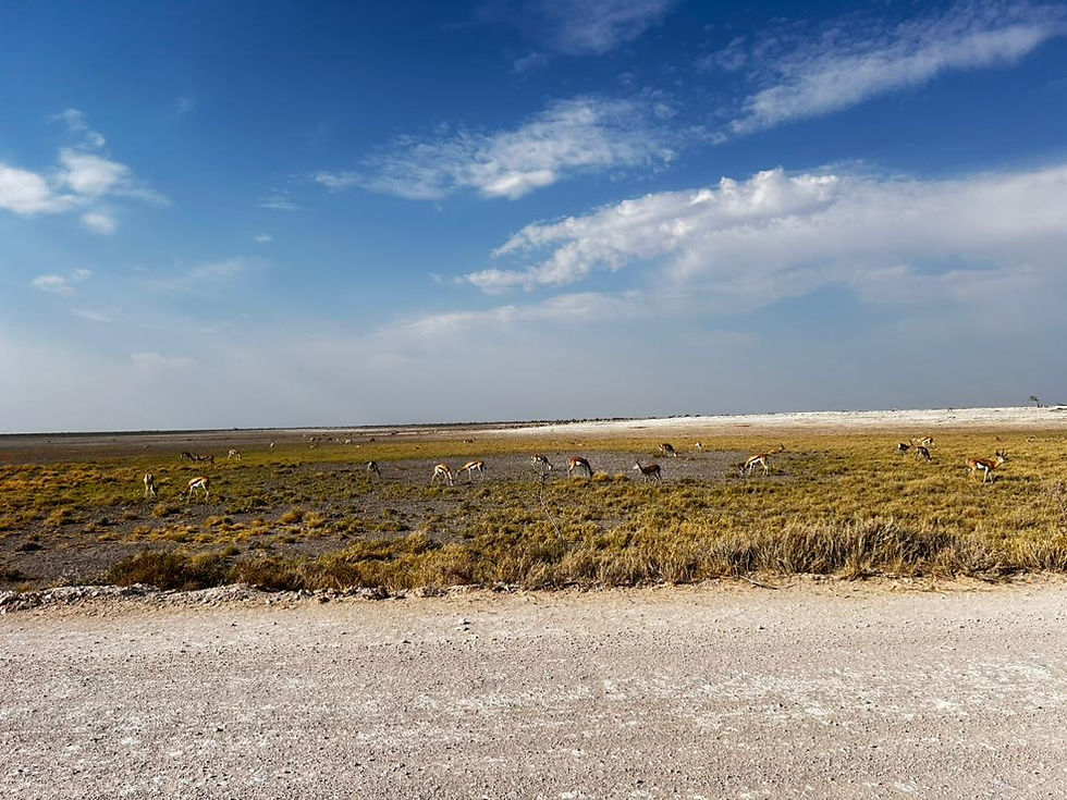 Etosha