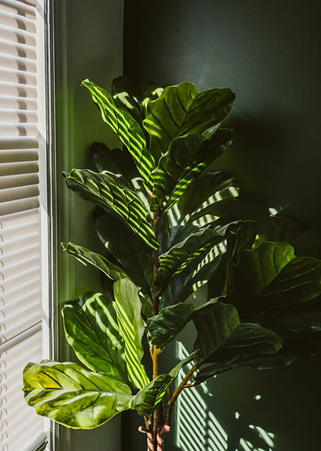 jason-hawke-ISPd5rk92bY-unsplash.jpg