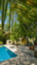 1A222F52-3F36-4E4A-BD03-501A6435BE2E.png