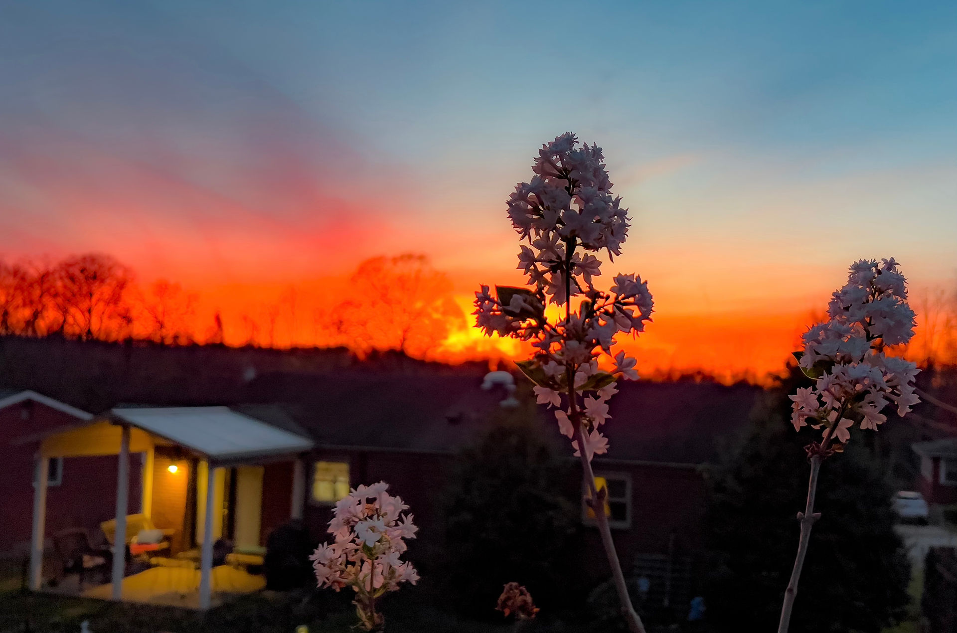Dave's Lilac Sunset
