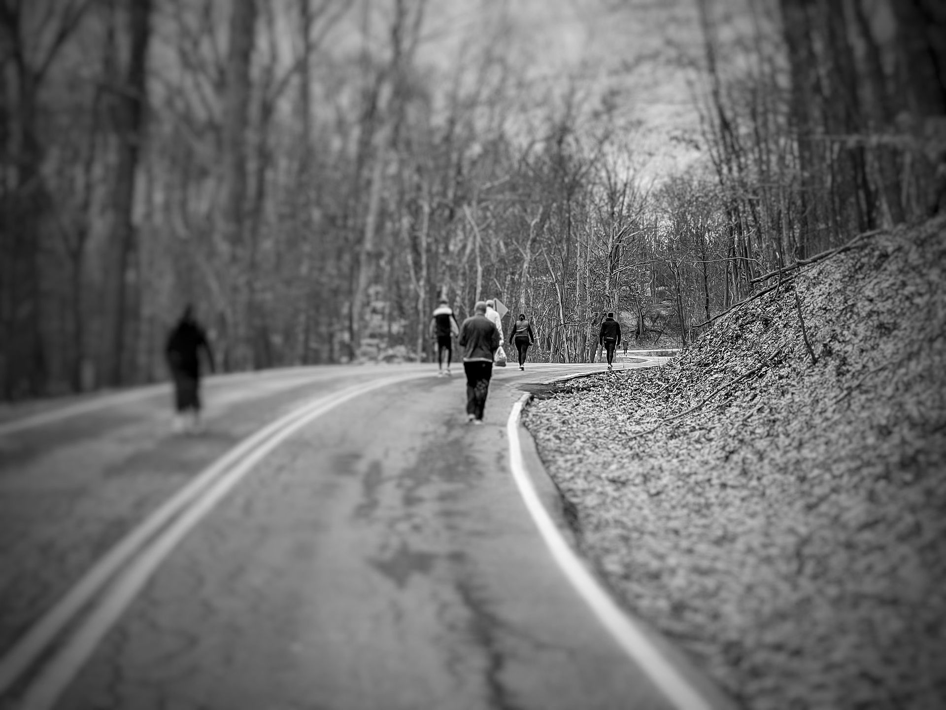 Dave's Winding Road