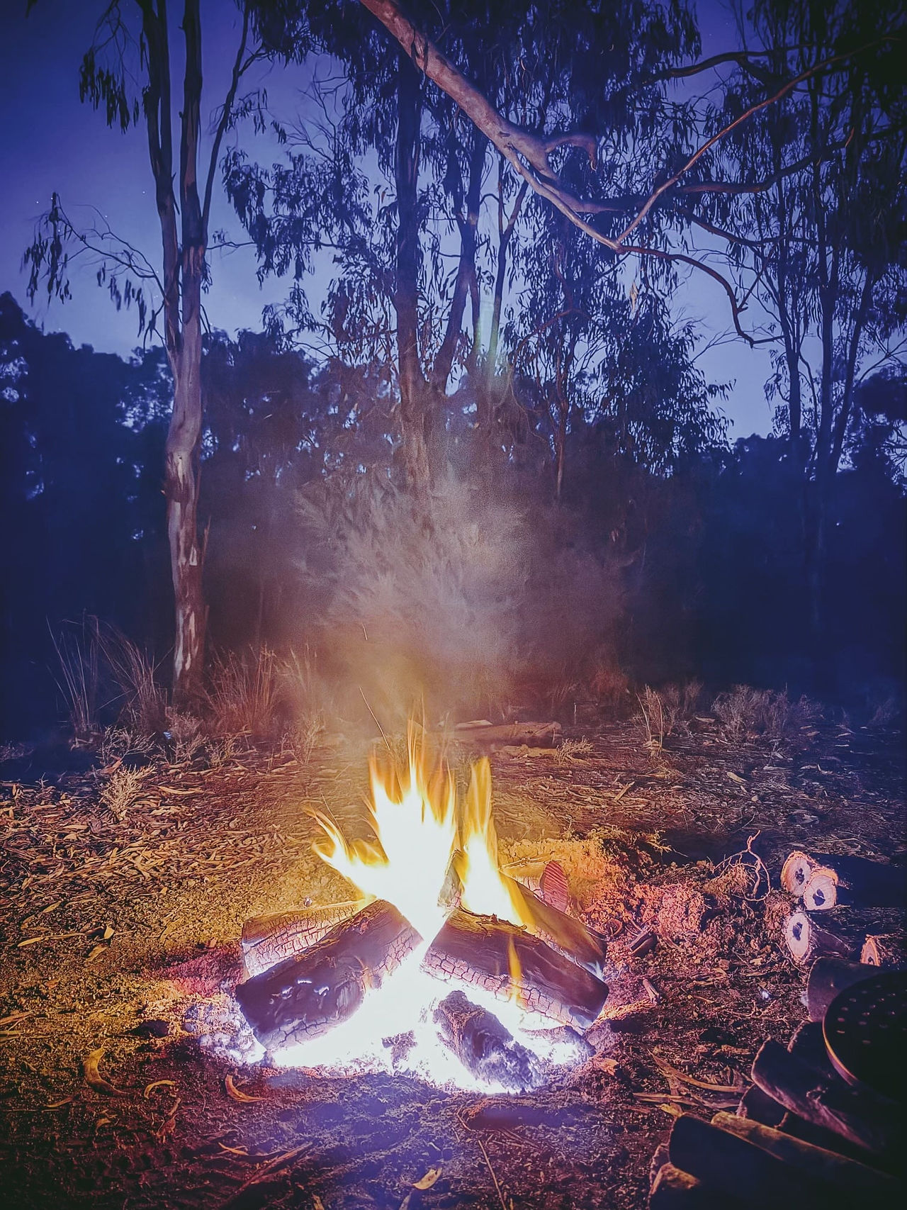 Shayne's Campfire