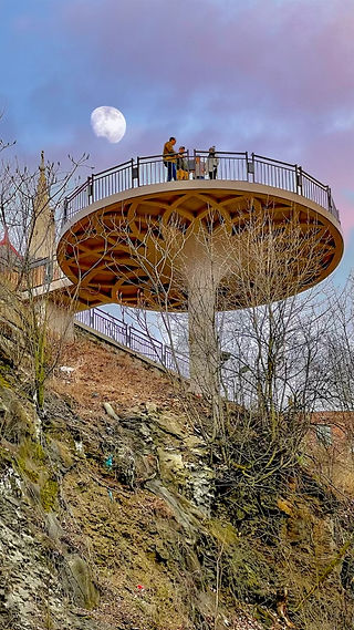 Dave's Lookout