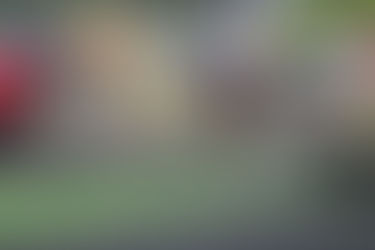 Student Attendance at Track and Field Meets