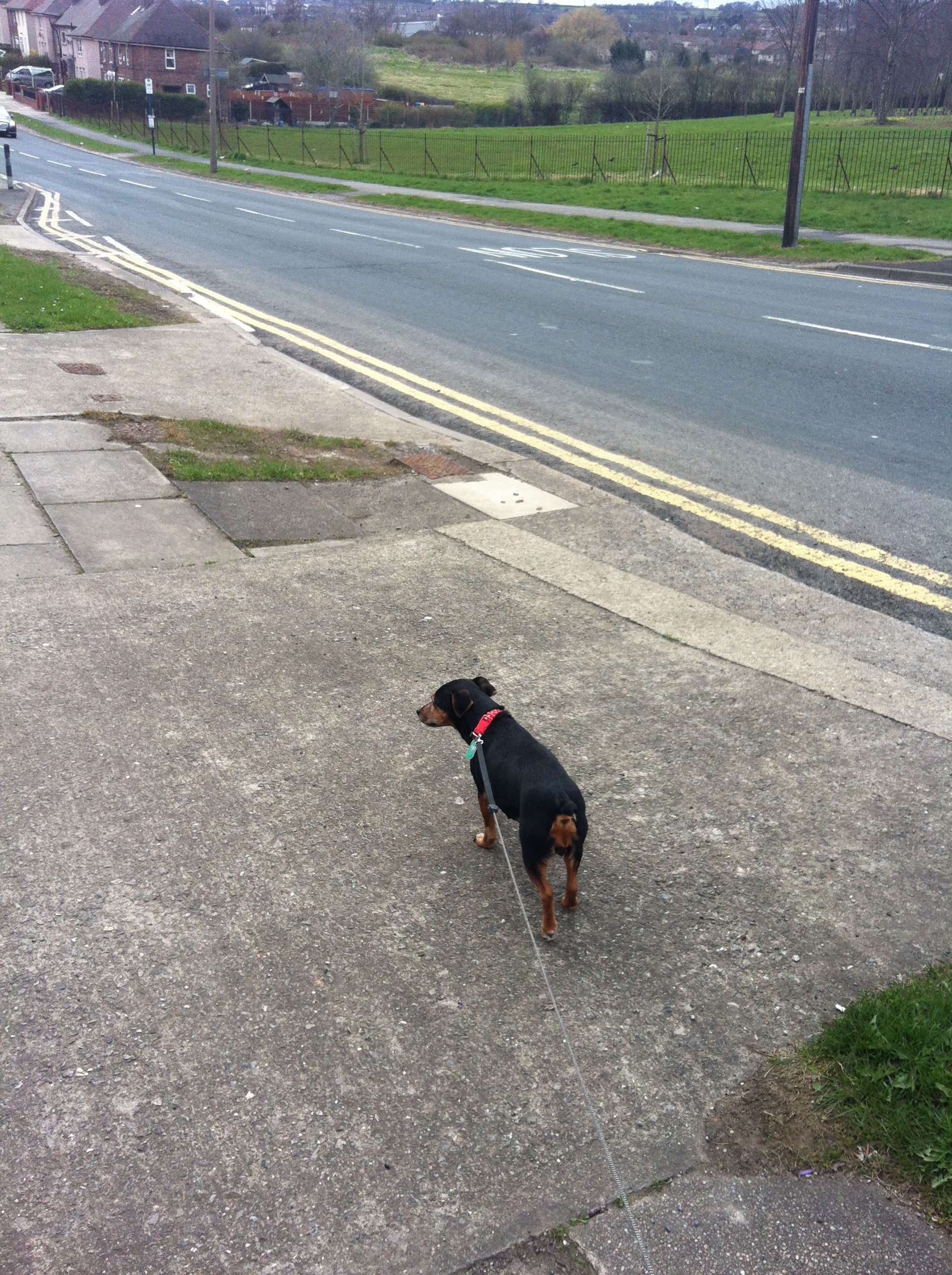 Having a walk out