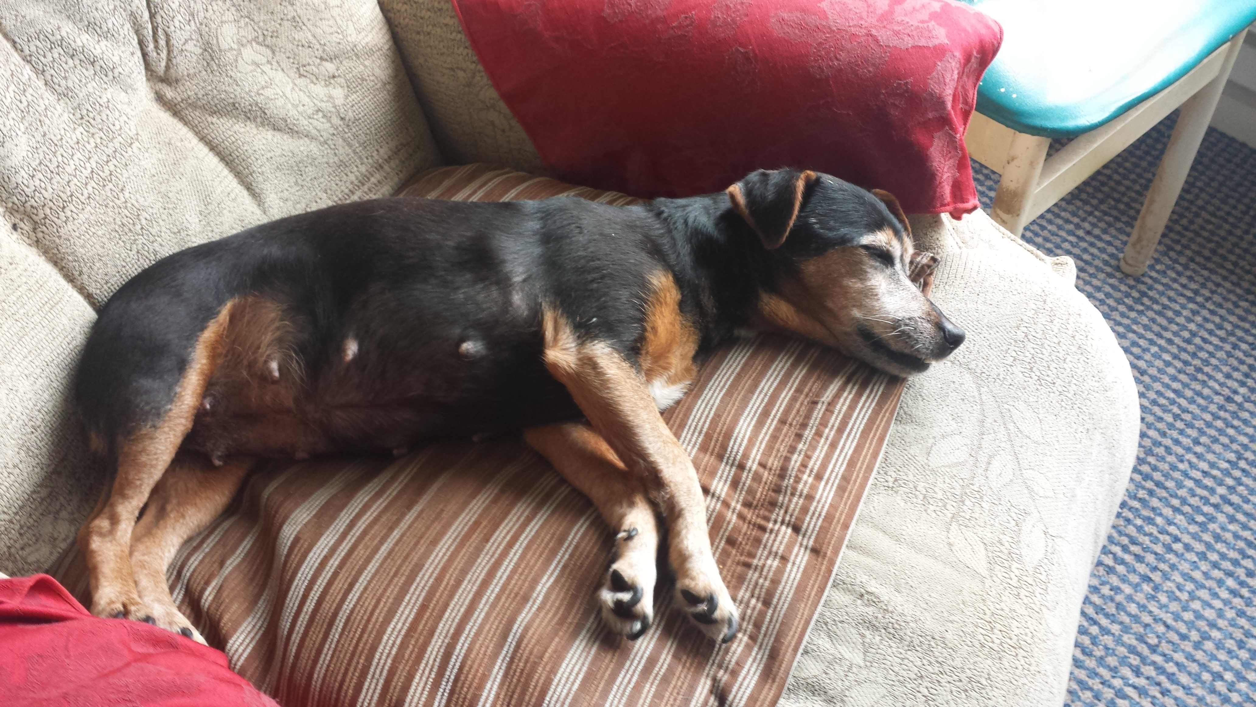 She Sleeping on my Chair
