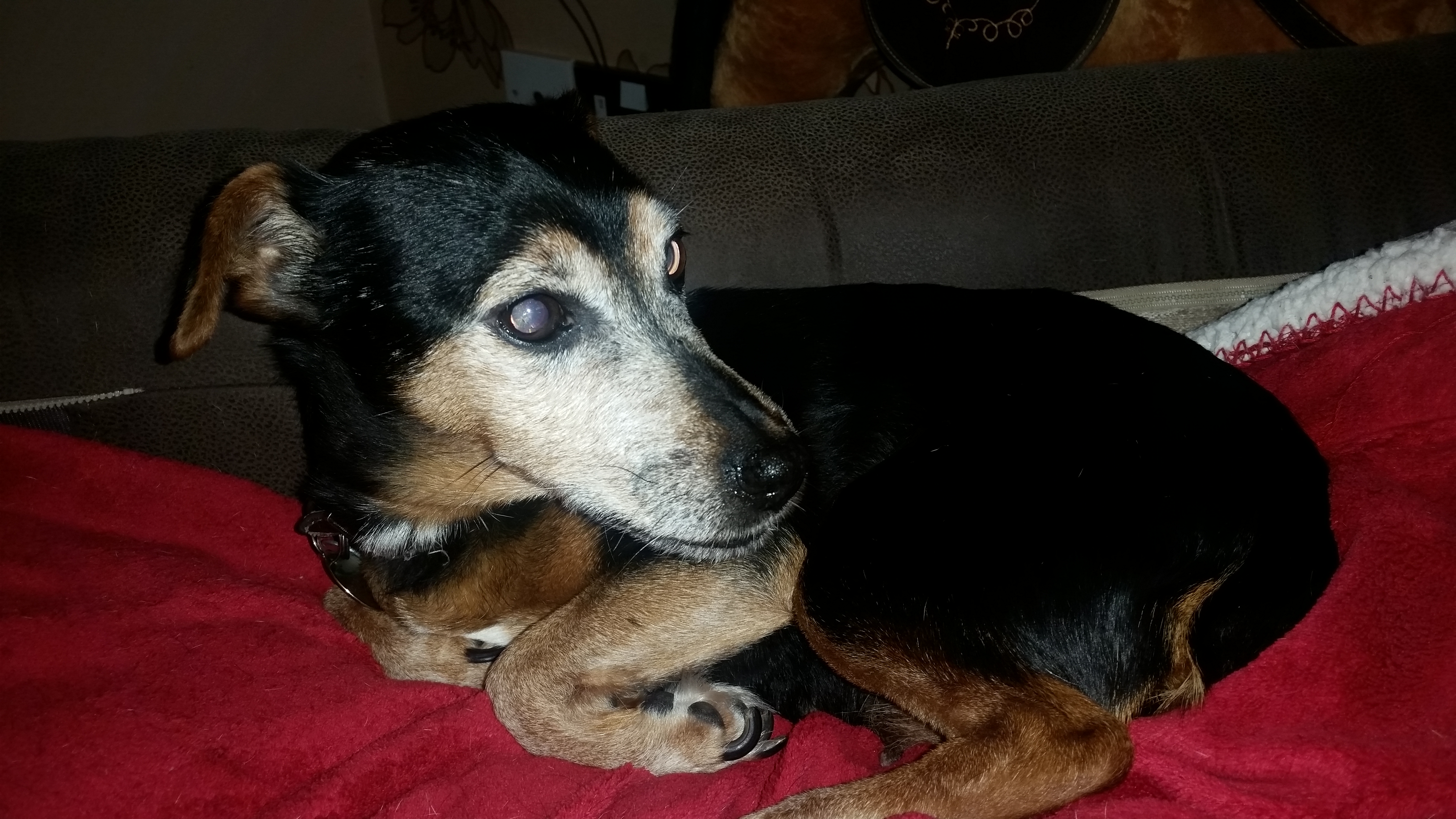 Bonny 14 (98) years old