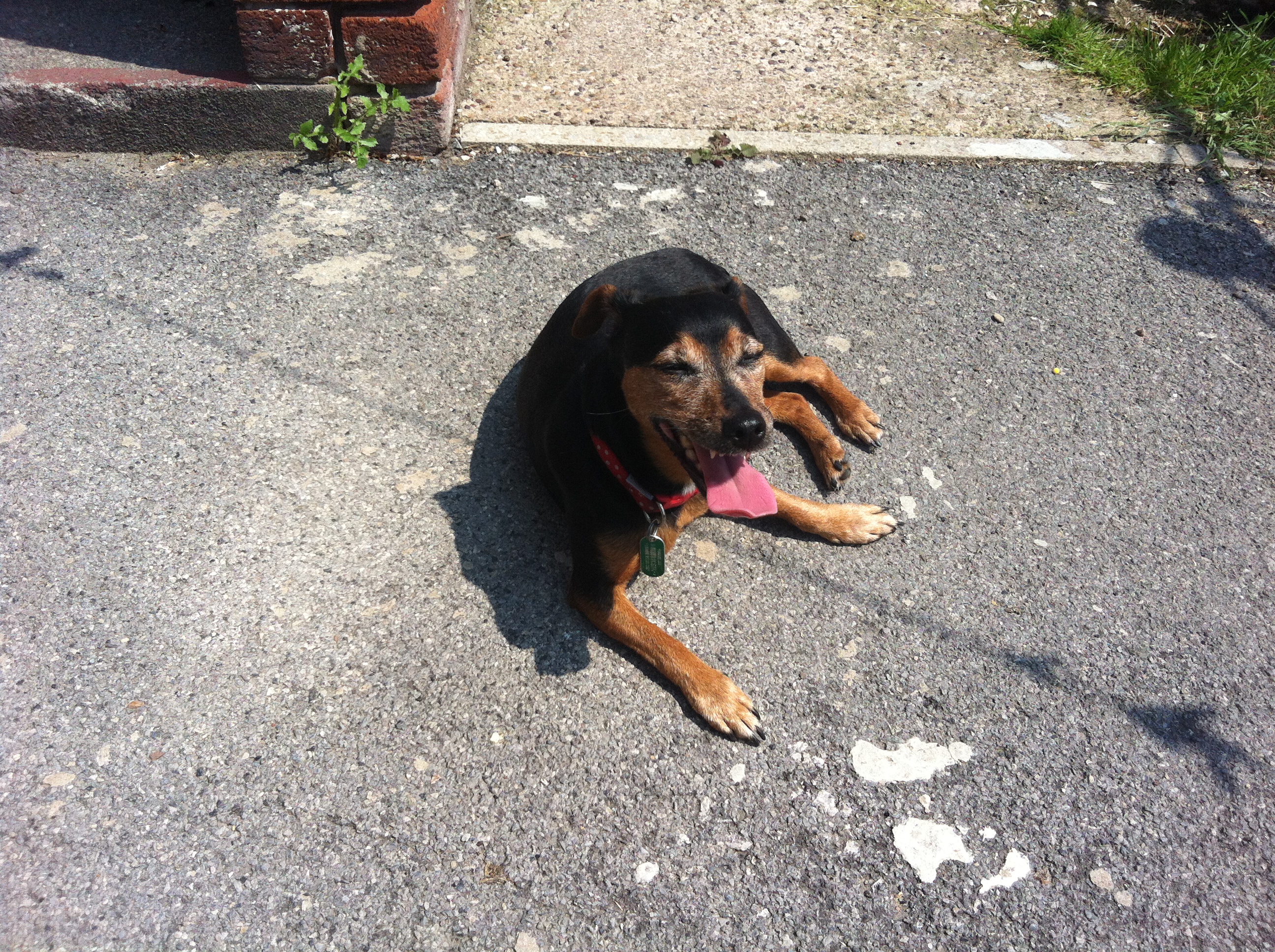 Bonney at Home