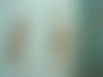 Essential Mold Inspection Tips for Pittsburgh Homeowners