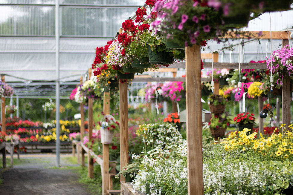 Spring Season Coward Farms Flowers & Trees Southwick, MA