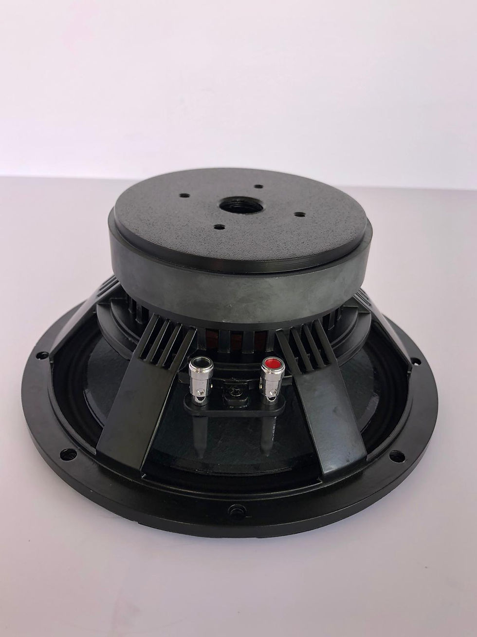 Thumbnail: 8" DG Audio PA Speaker