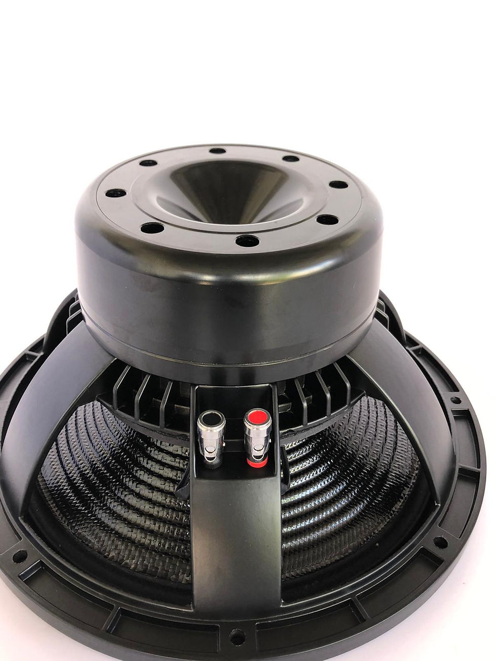 Thumbnail: 12" DG Audio Neo PA Speaker