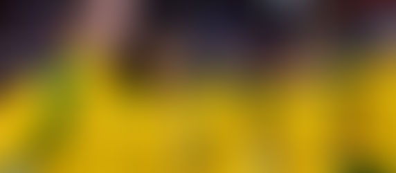 Seleção Feminina de Handebol Pré-Mundial tem novidades