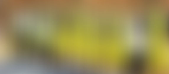 Franca anuncia time que vai disputar o Estadual Masculino de Handebol