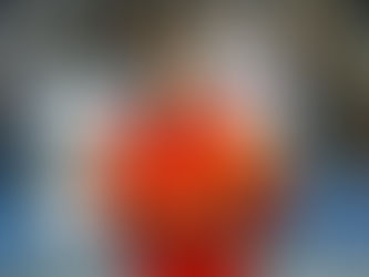 A exaustiva rotina de um árbitro internacional em competições
