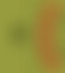 Eficácia do 7x6 na formação dos jogadores de handebol