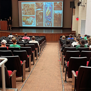 UL Freshman Orientation