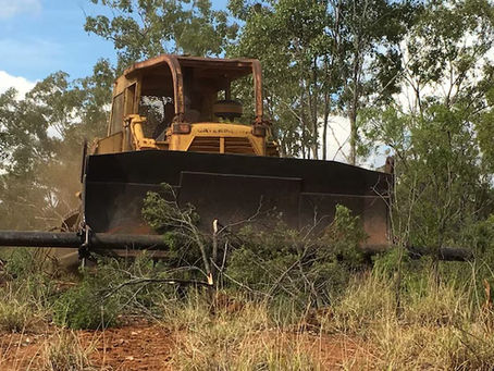 Nature Positive? Then Why Are the Bulldozers Still Running?